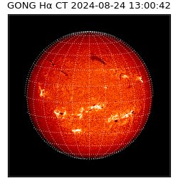 gong - 2024-08-24T13:00:42