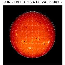 gong - 2024-08-24T23:00:02