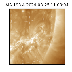 saia - 2024-08-25T11:00:04.842000