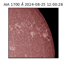 saia - 2024-08-25T12:00:28.717000