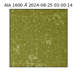 saia - 2024-08-25T03:00:14.126000