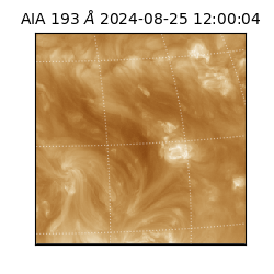 saia - 2024-08-25T12:00:04.843000