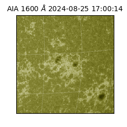 saia - 2024-08-25T17:00:14.126000