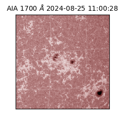 saia - 2024-08-25T11:00:28.717000