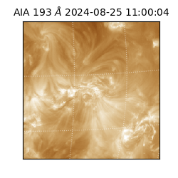 saia - 2024-08-25T11:00:04.842000
