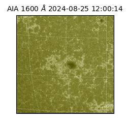 saia - 2024-08-25T12:00:14.126000