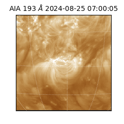 saia - 2024-08-25T07:00:05.521000