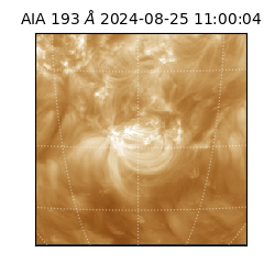 saia - 2024-08-25T11:00:04.842000