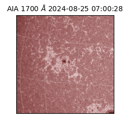 saia - 2024-08-25T07:00:28.717000