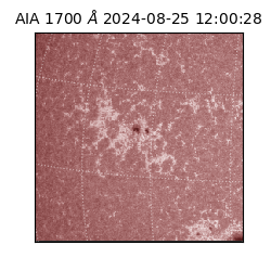 saia - 2024-08-25T12:00:28.717000