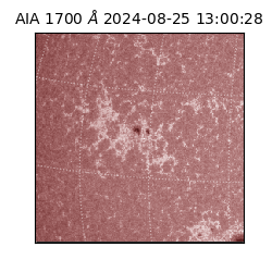 saia - 2024-08-25T13:00:28.717000