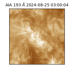 saia - 2024-08-25T03:00:04.843000