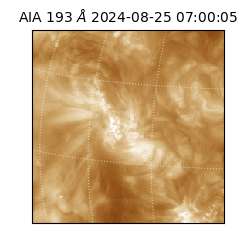 saia - 2024-08-25T07:00:05.521000