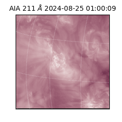 saia - 2024-08-25T01:00:09.631000