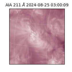 saia - 2024-08-25T03:00:09.631000