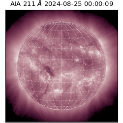 saia - 2024-08-25T00:00:09.631000