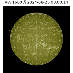 saia - 2024-08-25T03:00:14.126000