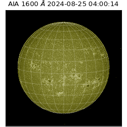 saia - 2024-08-25T04:00:14.125000