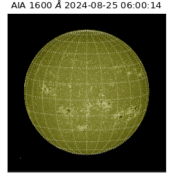 saia - 2024-08-25T06:00:14.129000
