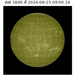 saia - 2024-08-25T09:00:14.131000