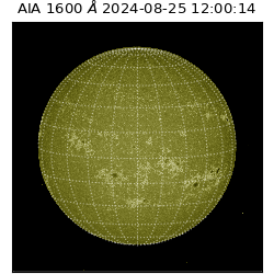 saia - 2024-08-25T12:00:14.126000