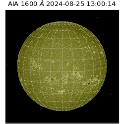 saia - 2024-08-25T13:00:14.126000