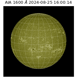 saia - 2024-08-25T16:00:14.126000