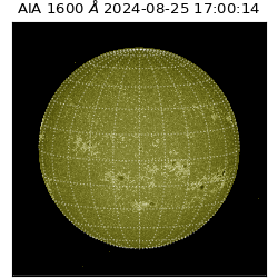 saia - 2024-08-25T17:00:14.126000