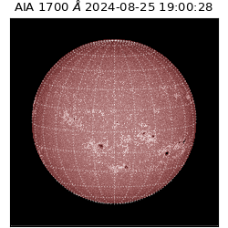 saia - 2024-08-25T19:00:28.709000