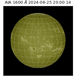 saia - 2024-08-25T20:00:14.132000