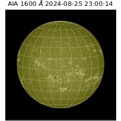 saia - 2024-08-25T23:00:14.129000