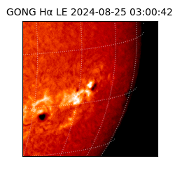 gong - 2024-08-25T03:00:42