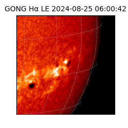 gong - 2024-08-25T06:00:42