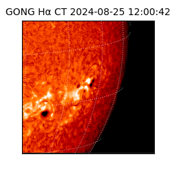 gong - 2024-08-25T12:00:42