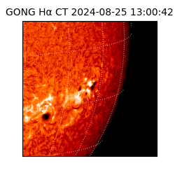 gong - 2024-08-25T13:00:42