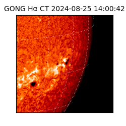 gong - 2024-08-25T14:00:42