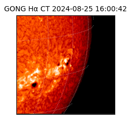 gong - 2024-08-25T16:00:42