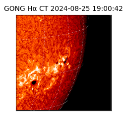 gong - 2024-08-25T19:00:42