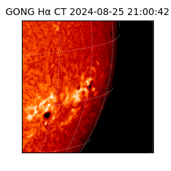 gong - 2024-08-25T21:00:42