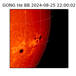 gong - 2024-08-25T22:00:02