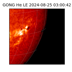 gong - 2024-08-25T03:00:42