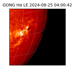 gong - 2024-08-25T04:00:42