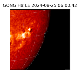 gong - 2024-08-25T06:00:42