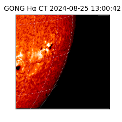 gong - 2024-08-25T13:00:42