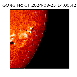 gong - 2024-08-25T14:00:42