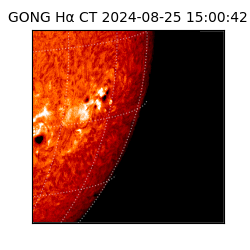 gong - 2024-08-25T15:00:42