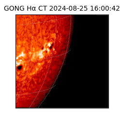 gong - 2024-08-25T16:00:42