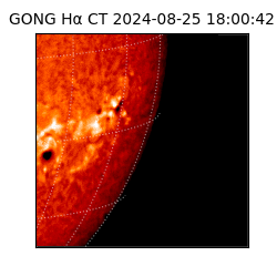 gong - 2024-08-25T18:00:42
