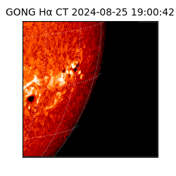 gong - 2024-08-25T19:00:42