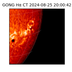 gong - 2024-08-25T20:00:42